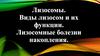 Лизосомы. Виды лизосом и их функции. Лизосомные болезни накопления