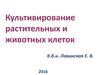 Культивирование растительных и животных клеток