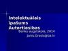 Janis Grasis. Intelektuālais īpašums Autortiesības
