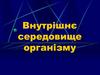 Внутрішнє середовище організму