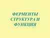 Ферменты, структура и функция
