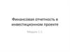 Финансовая отчетность в инвестиционном проекте