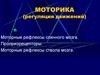 Моторика (регуляция движений)