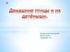 Домашние птицы и их детёныши