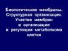 Биологические мембраны. Структурная организация