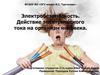 Электробезопасность. Действие электрического тока на организм человека