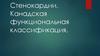 Стенокардии. Канадская функциональная классификация