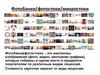 Фотобанки/фотостоки/микростоки