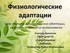 Физиологические адаптации и механизм их возникновения