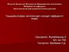Бүйрек жеткіліксіздігі кезіндегі эфферентті емдеу