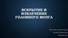 Вскрытие и извлечение головного мозга