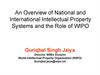 An Overview of National and International Intellectual Property Systems and the Role of WIPO