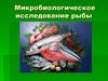 Микробиологическое исследование рыбы