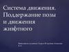 Система движения. Поддержание позы и движения животного