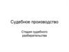 Судебное производство. Стадия судебного разбирательства