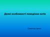 Деякі особливості поведінки котів