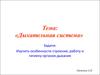 Дыхательная система. Особенности строения, работа и гигиена органов дыхания