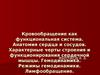 Кровообращение как функциональная система. Анатомия сердца и сосудов. Характерные черты строения и функционирования сердечной мышцы