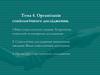 Організація соціологічного дослідження