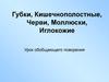 Беспозвоночные. Губки, кишечнополостные, черви, моллюски, иглокожие