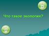 Что такое экология