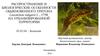 Распространение и биологические особенности обыкновенного тритона на урбанизированной территории