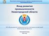 НО «Фонд развития промышленности и венчурных инвестиций Нижегородской области»