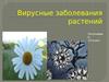 Вирусные заболевания растений