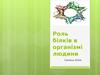 Роль білків в організмі людини