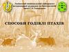 Способи годівлі птахів