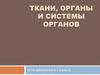 Ткани, органы и системы органов