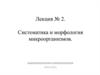Систематика и морфология микроорганизмов