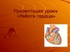 Работа сердца. Большой и малый круги кровообращения