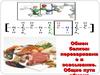 Обмен белков. Переваривание и всасывание. Общие пути обмена