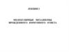 Молекулярные механизмы врожденного иммунного ответа