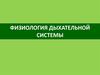 Физиология дыхательной системы