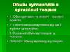 Обмін вуглеводів в організмі тварин