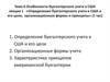 Определение бухгалтерского учета в США и его цели, организационные формы и принципы
