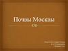 Почвы Москвы