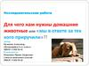 Для чего нам нужны домашние животные