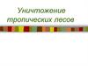 Уничтожение тропических лесов
