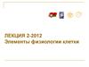 Элементы физиологии клетки