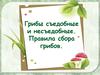 Грибы съедобные и несъедобные. Правила сбора грибов