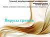 Вирусы гриппа