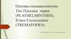 Основы гельминтологии. Тип плоские черви (plathelminthes). Класс сосальщики (trematodes)