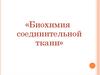 Биохимия соединительной ткани