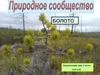 Природное сообщество. Болото. (Окружающий мир. 3 класс (часть2)