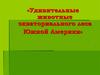 Удивительные животные экваториального леса Южной Америки