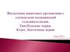 Тип Плоские черви. Класс Ленточные черви. Филогения животных организмов с элементами медицинской гельминтологии