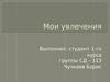 Мои увлечения